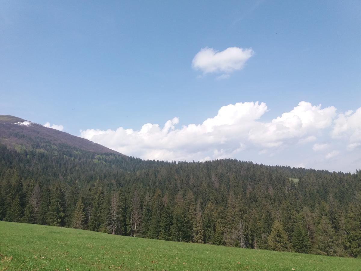 Верховинський Котедж Bukovets Eksteriør billede