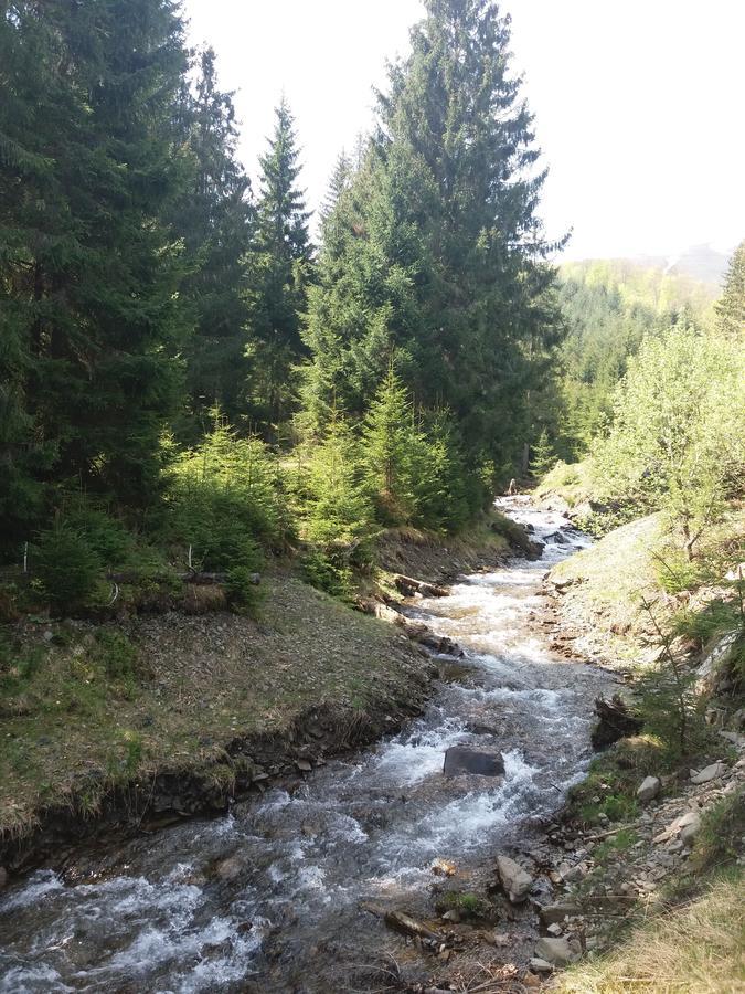 Верховинський Котедж Bukovets Eksteriør billede